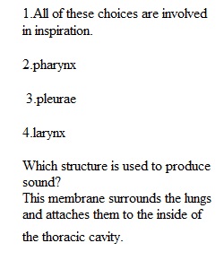 Quiz 7